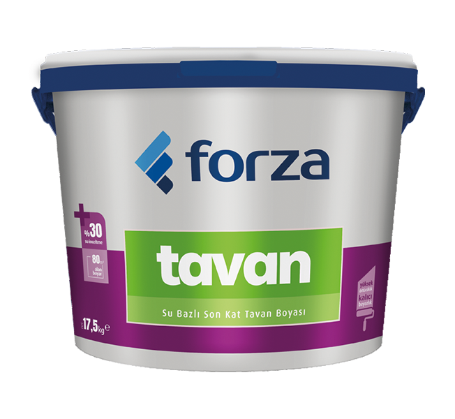 Forza Tavan