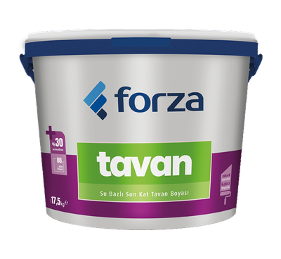 Forza Tavan